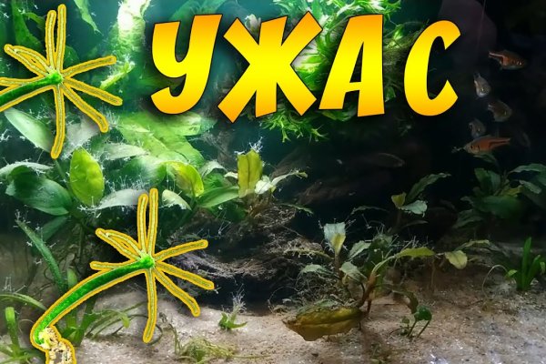 Kraken ссылка на сайт актуальная