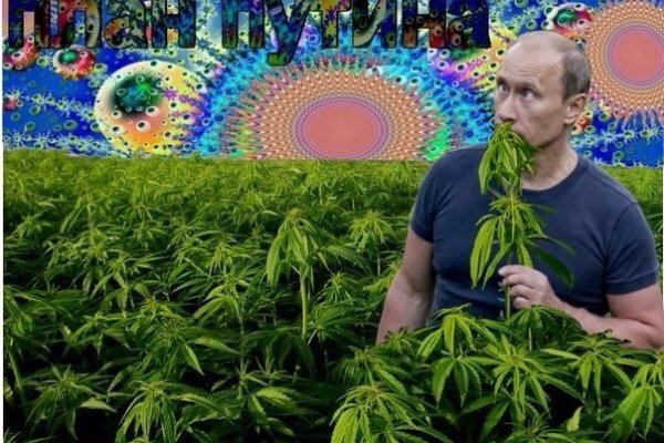 Кракен шоп зеркало