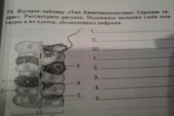 Ссылка на кракен через тор