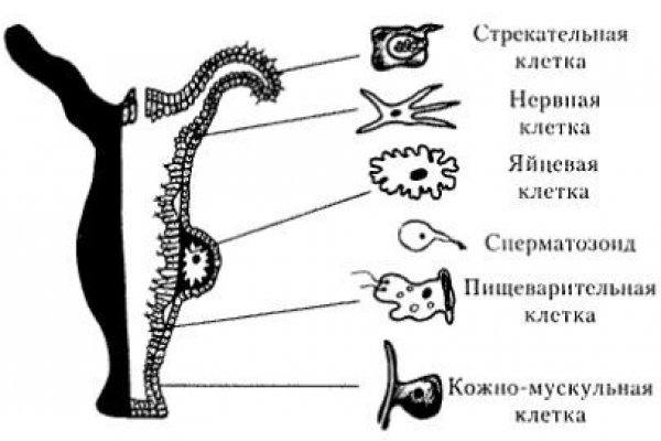 Кракен магазин нарков