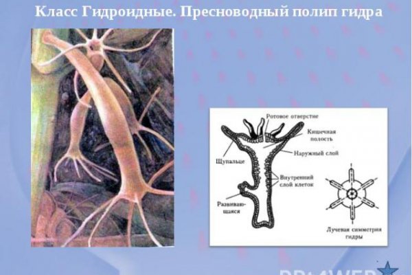 Кракен шоп зеркало