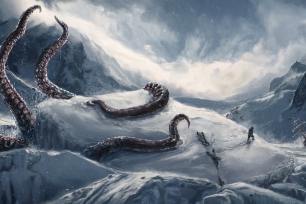 Kraken tor link