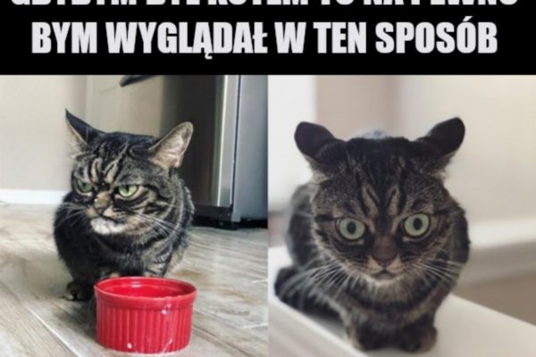 Ссылка на кракен kr2web in